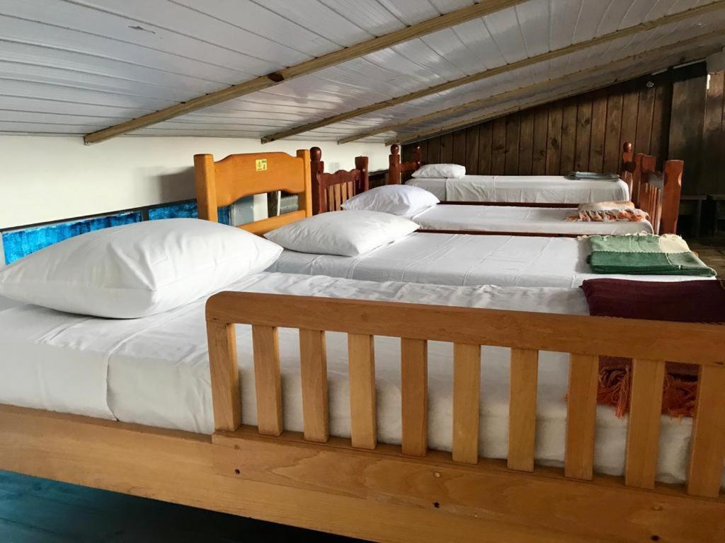Hostel Banana House ボンビーニャス エクステリア 写真